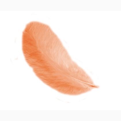 Feathers 12 cm: Orange