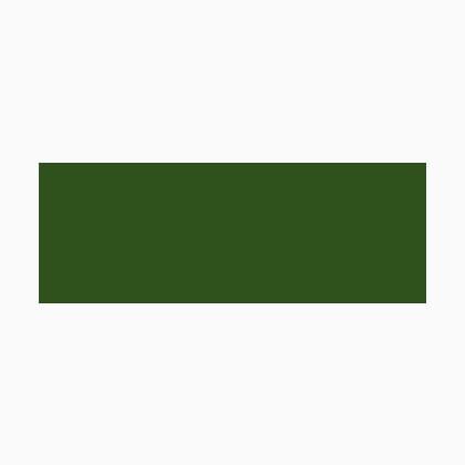 Acrylic matte Color - Forest green - 200ml.