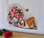 Buldog & Butterflies