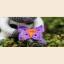 Dorte the cow - Pattern and accessories