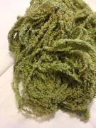Algae Eyelash Chenille