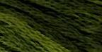 Sampler Threads: Green With Envy