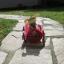 Doggie Car 1