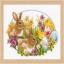 Rabbits and chicks