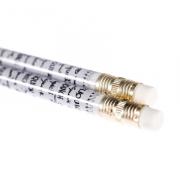 APLIQUICK ®™ Ecopencil