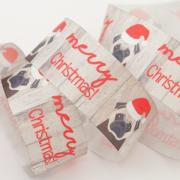 Merry Christmas Pug Ribbon 25mm - Multicolor