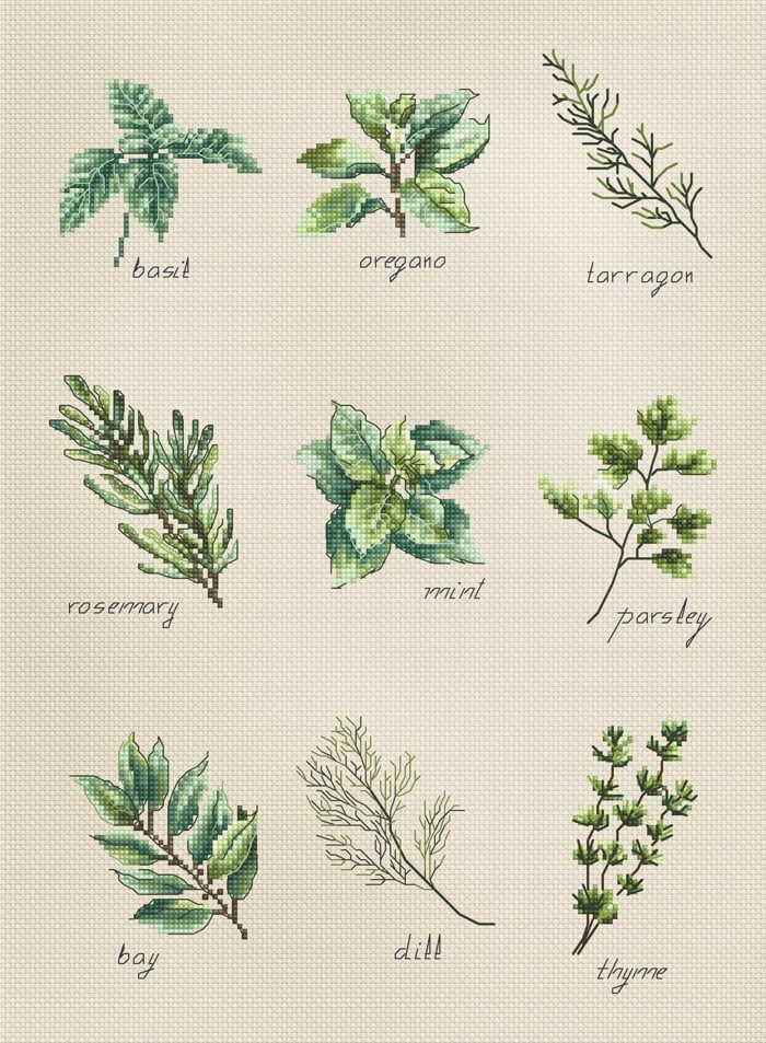 Herbs Chart Pictures