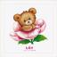 Birth Sampler - Cute Bear