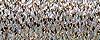 3202 Cat's Eye Kreinik Ribbon (1/8")