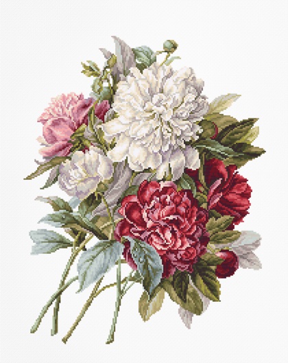 The Peonies