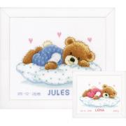 Birth Sampler - Snoozing Teddy Bear