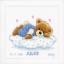 Birth Sampler - Snoozing Teddy Bear