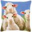 Front Cushion: Curious Sheep