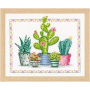A Plant Corner