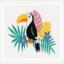 Toucan