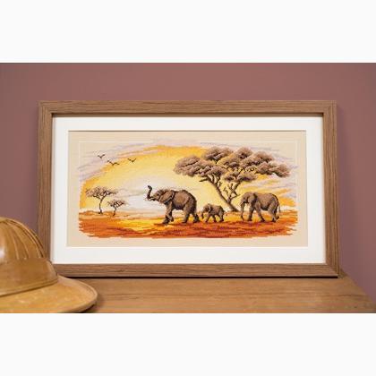 Elephants