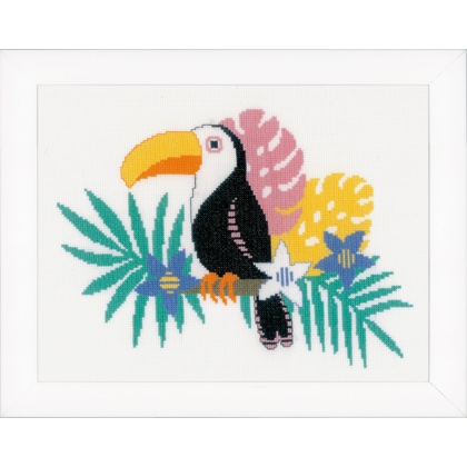 Toucan