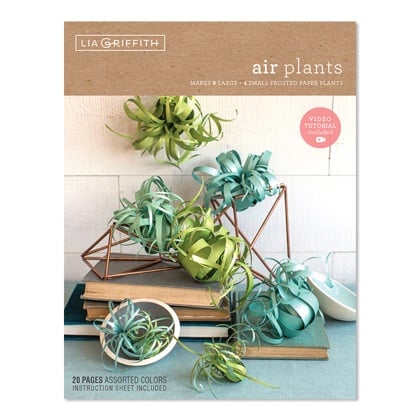 Air Plant Frosted Paper Flower Kit
