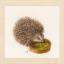 Hedgehog