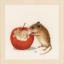 Little mouse