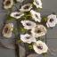 Crepe Paper Flower Anemone Kit