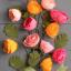 Crepe Paper Ranunculus Flower Kit