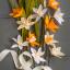 Crepe Paper Daffodil Flower Kit
