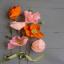 Crepe Paper Icelandic Poppy Flower Kit