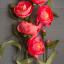 Crepe Paper Flower Peony Kit