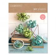 Air Plant Frosted Paper Flower Kit