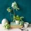 Air Plant Frosted Paper Flower Kit