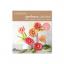 Gerbera Daisies Frosted Paper Flower Kit