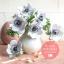 Anemones Frosted Paper Flower Kit