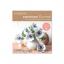 Anemones Frosted Paper Flower Kit