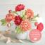Camellias Frosted Paper Flower Kit