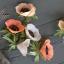 Crepe Paper Kit - Honeysuckle/Coral & Apricot/Light Rose