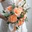 Crepe Paper Kit - Honeysuckle/Coral & Apricot/Light Rose