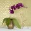 Crepe Paper Kit - Sangria/Aubergine & Cherry/Raspberry