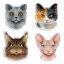 Who said meow? magnets