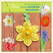 Yellow Narcissus