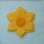 Yellow Narcissus