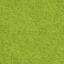Felt The Matcha