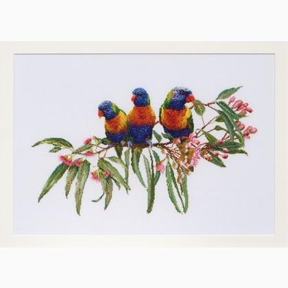 Lorikeets - Linen