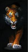 Stalking Tiger