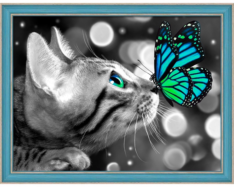pic Cat And Butterfly Images bengal cat and butterfly