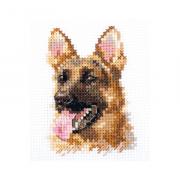 Animal Portraits - Shepherd