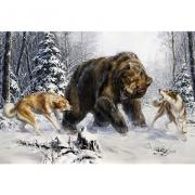 Huskies and Bear
