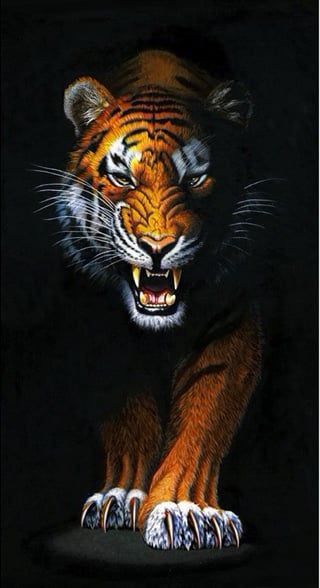Stalking Tiger