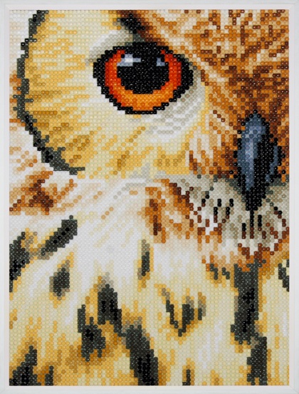 Owl From Lanarte - Diamond Painting - Kits - Casa Cenina