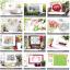 Zweigart: Flower Power - Designer Creations 5